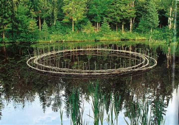 Roy Staab Biography, Age, Height, Wife, Net Worth and Family